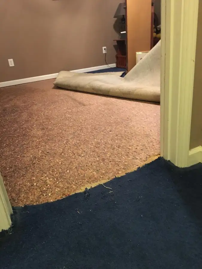 Carpet pad removal revealing water damage during Drying & Dehumidification in Jamestown