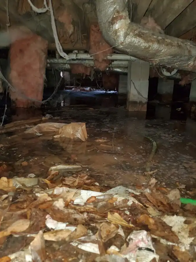 Crawl space flood assessment for Leak Detection & Repair in Jamestown